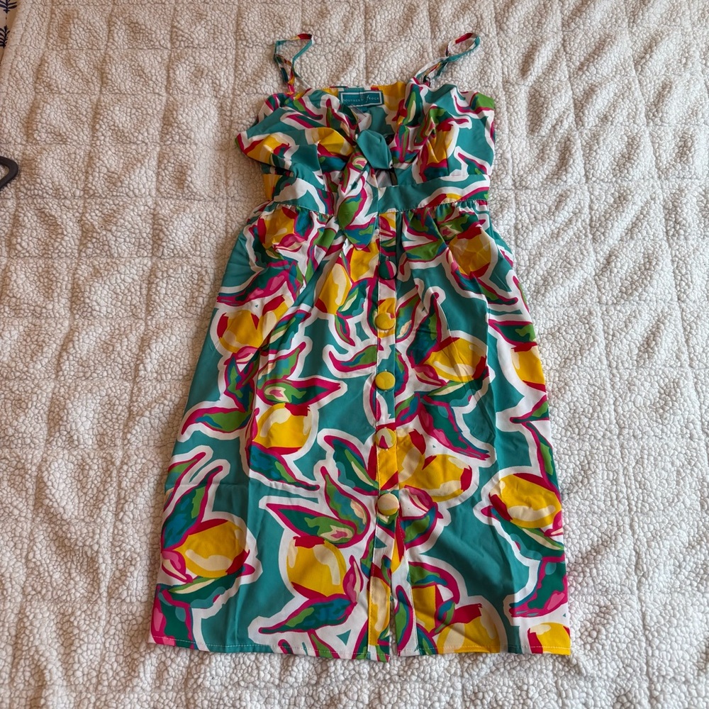 NWT Southern Frock dress